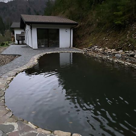 Cottage house Mizhhirya  Exterior photo