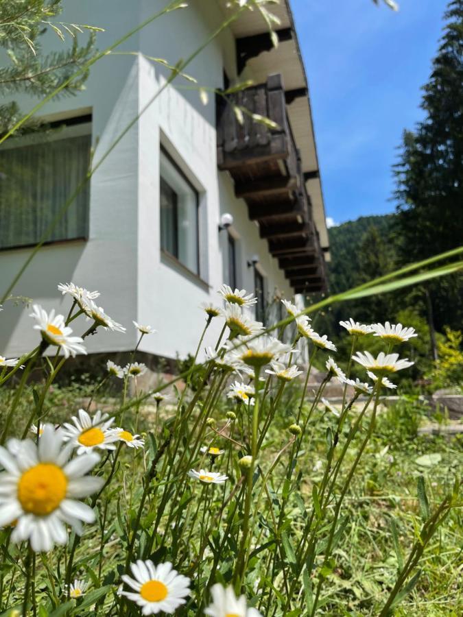 Cottage house Mizhhirya  Exterior photo