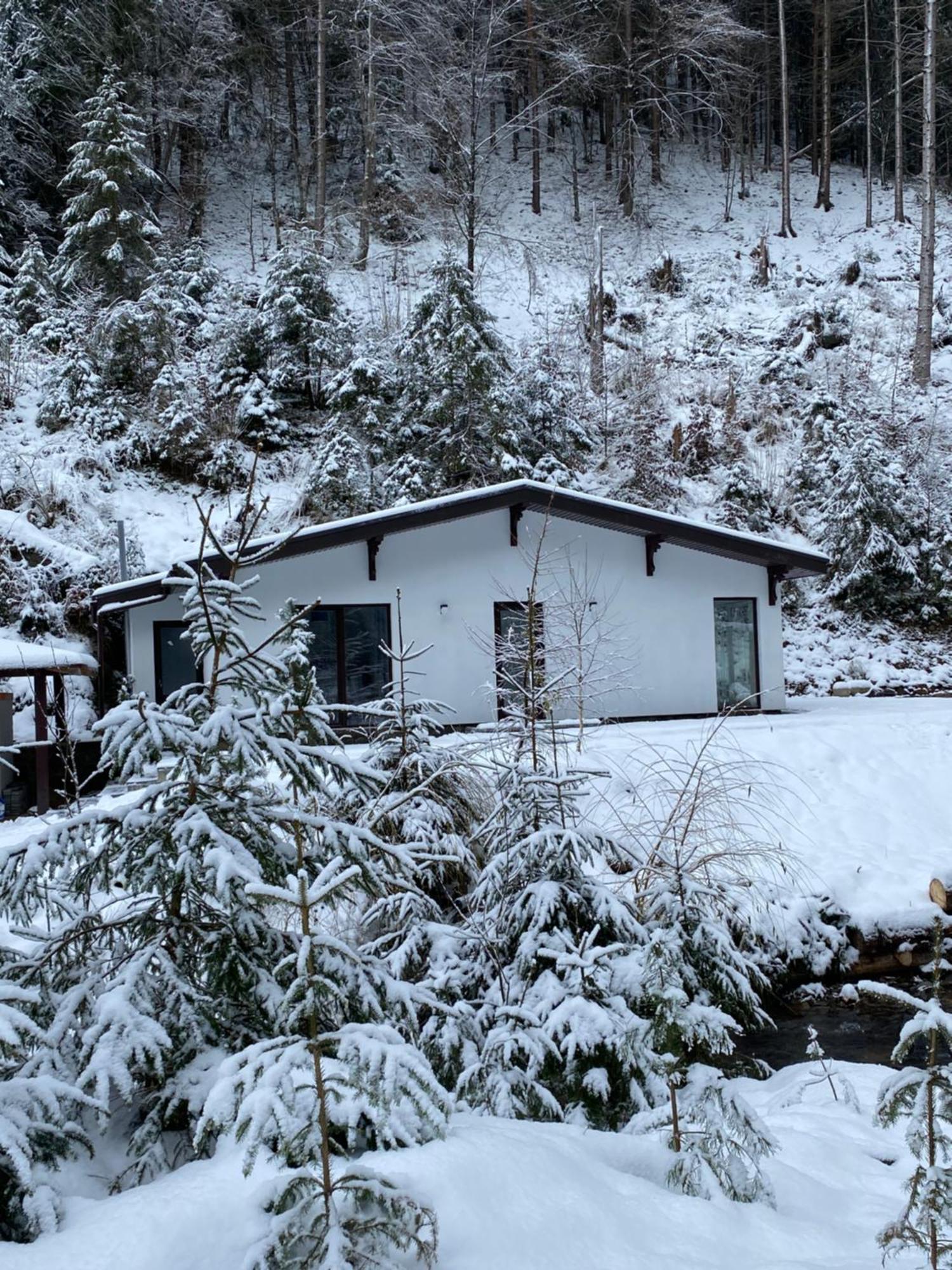 Cottage house Mizhhirya  Exterior photo